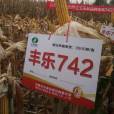 豐樂742