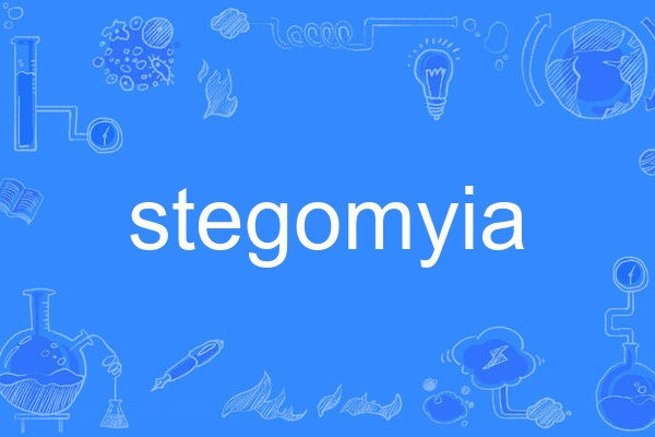 stegomyia stegomyia