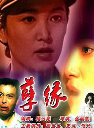 高寶寶