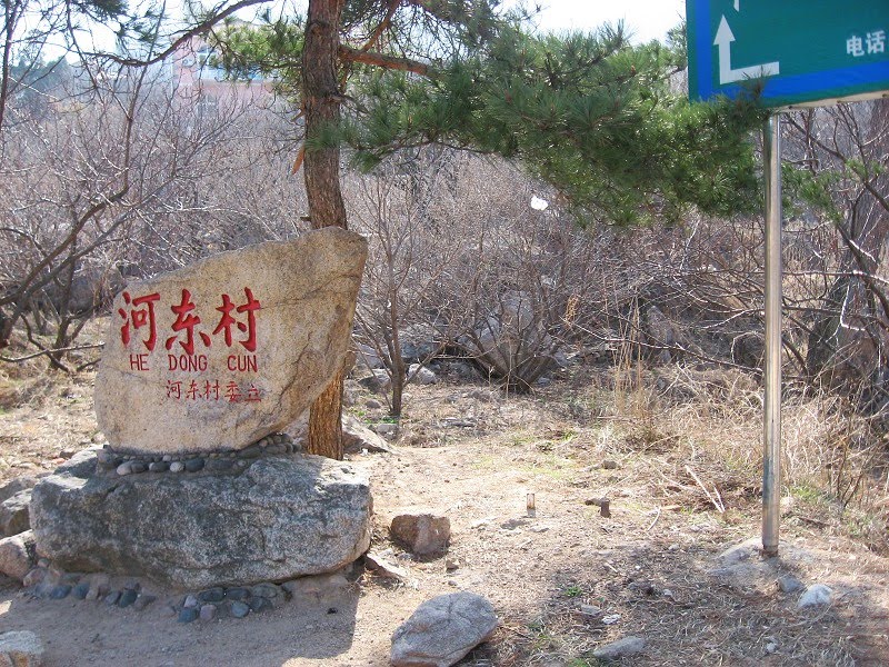 河東村(雲南省大理市鶴慶縣六合彝族鄉河東村)