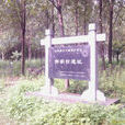 郝家台遺址 郝家台遺址