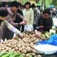 拼菜族 拼菜族