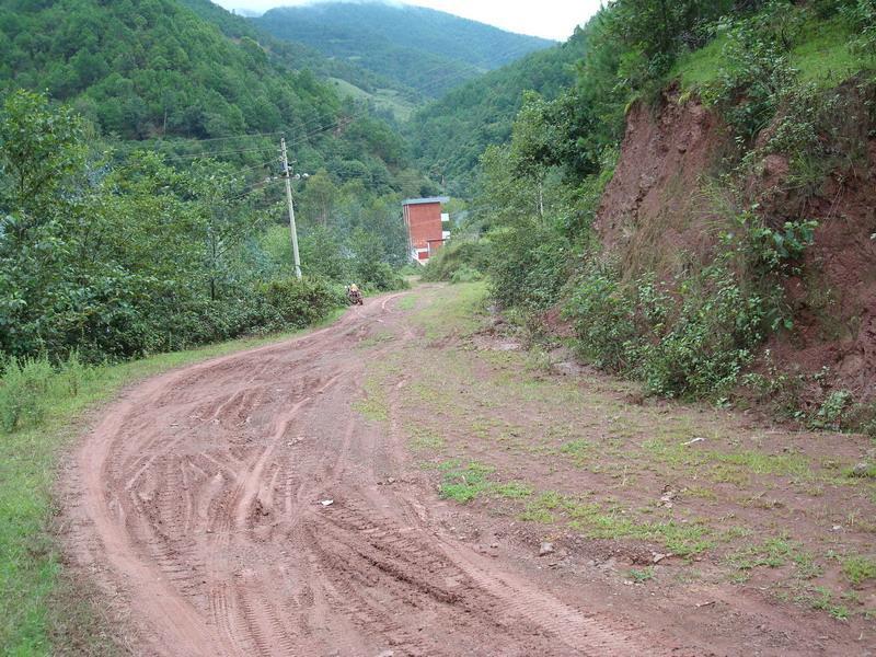大龍午村 大龍午村