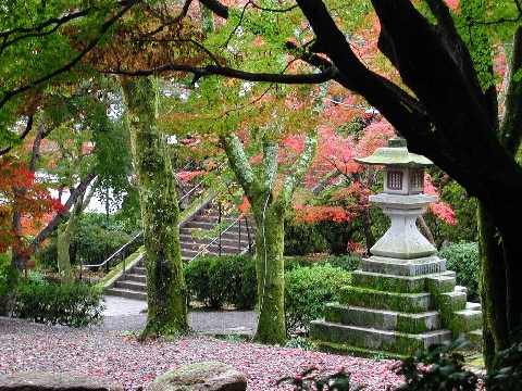 京都東福寺 美景如畫