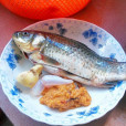 鯽魚籽 鯽魚籽