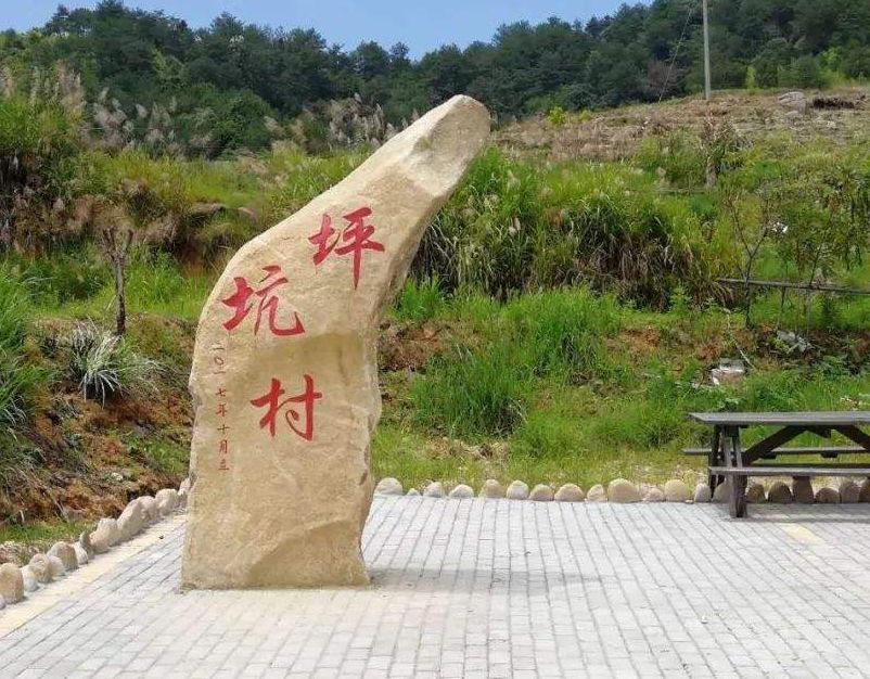 坪坑村(福建省尤溪縣洋中鎮轄村)