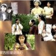 亂世佳人(1941年梅凌霄執導電影) 亂世佳人(1941年梅凌霄執導電影)