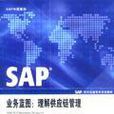 SAP業務藍圖 SAP業務藍圖