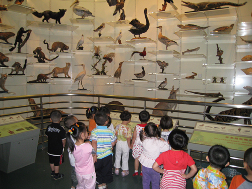 小同學們在常州少兒自然博物館參觀