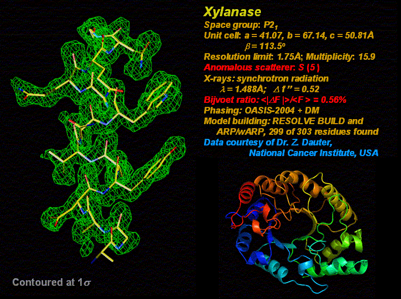 木聚糖酶(蛋白質晶體結構)