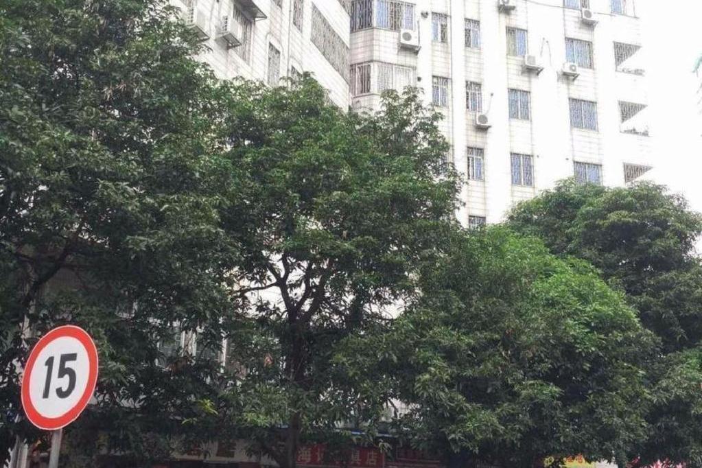華翠街 華翠街