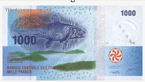 空棘魚錢幣