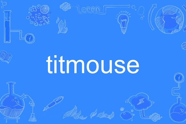 titmouse titmouse