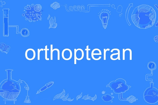 orthopteran orthopteran