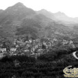 潘岙楊村 潘岙楊村