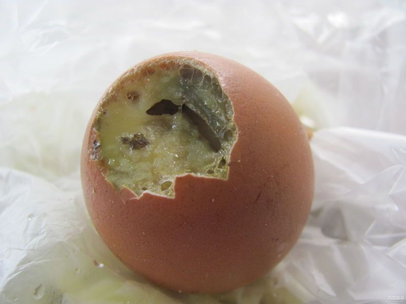 黑腐蛋 黑腐蛋