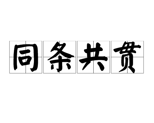 同條共貫 同條共貫