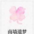 南牆遺夢 南牆遺夢