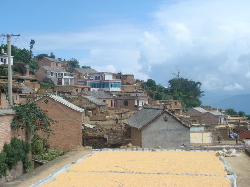年少村 年少村