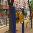 景泰西里 景泰西里