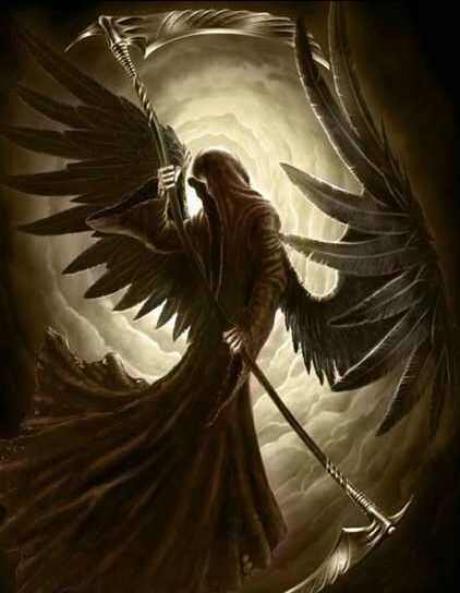 死族 死族