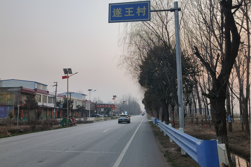 遂王村 遂王村