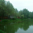谷老村 谷老村