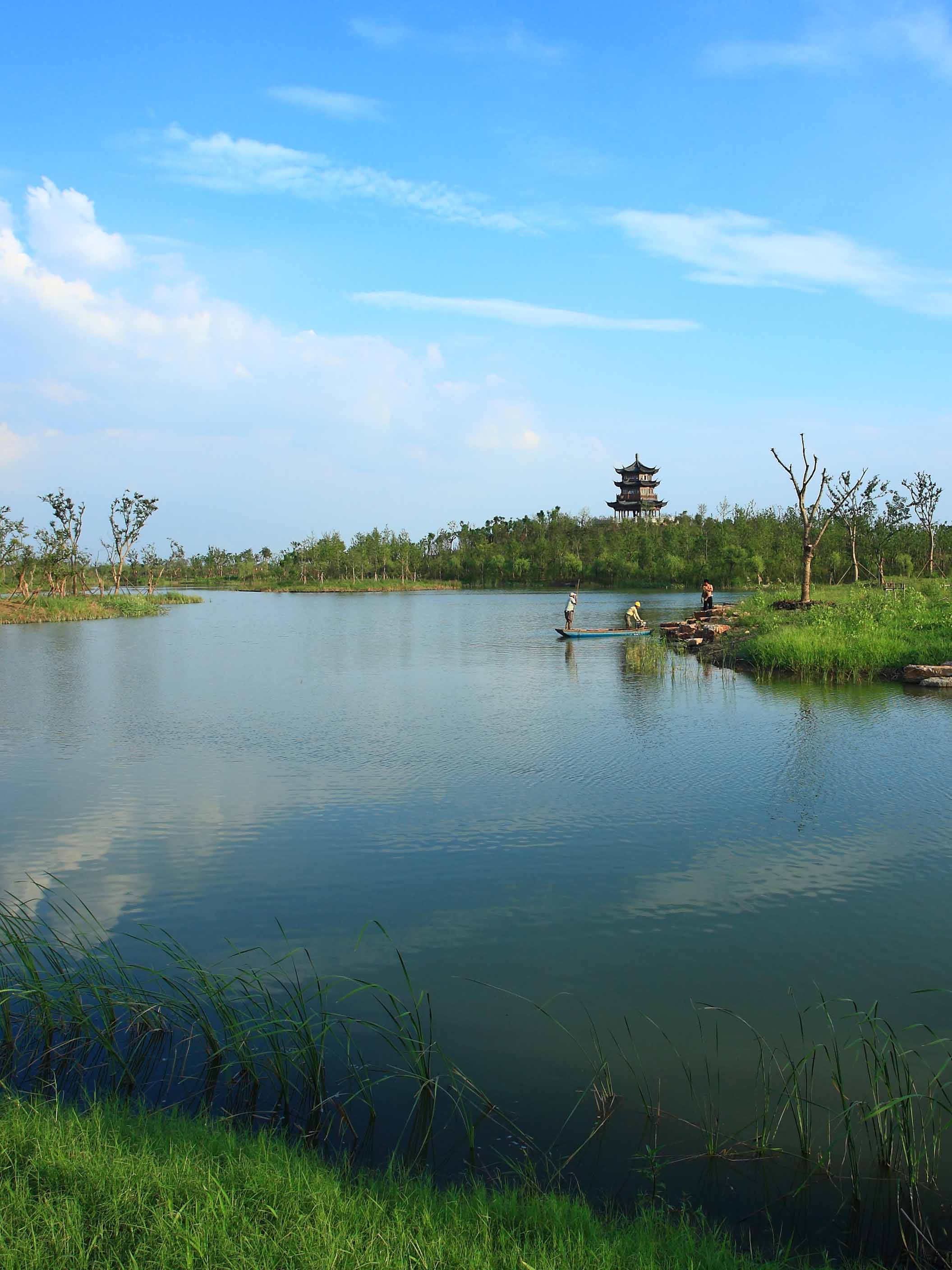 梁鴻濕地實景圖