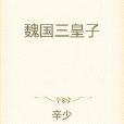 魏國三皇子 魏國三皇子