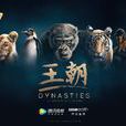 王朝(紀錄片) 王朝(紀錄片)
