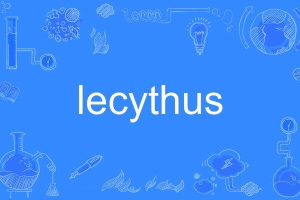 lecythus lecythus