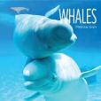 Whales(Gish, Melissa著圖書) Whales(Gish, Melissa著圖書)