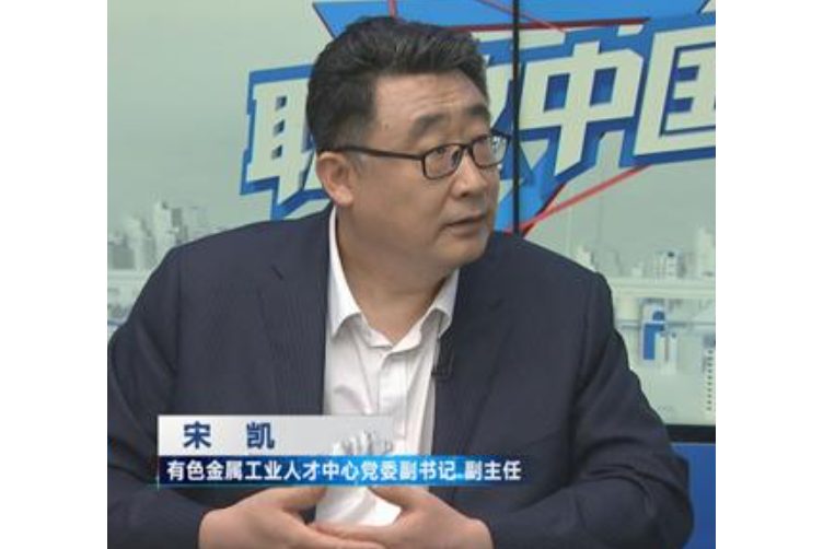 宋凱(有色金屬工業人才中心黨委副書記、副主任) 宋凱(有色金屬工業人才中心黨委副書記、副主任)