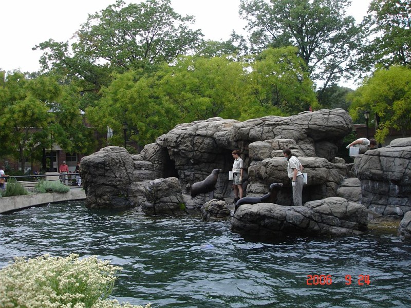 展望公園動物園海獅池