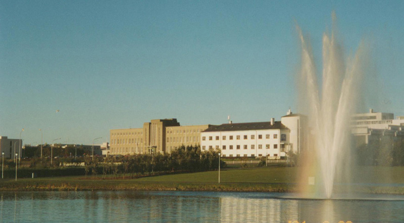 冰島大學