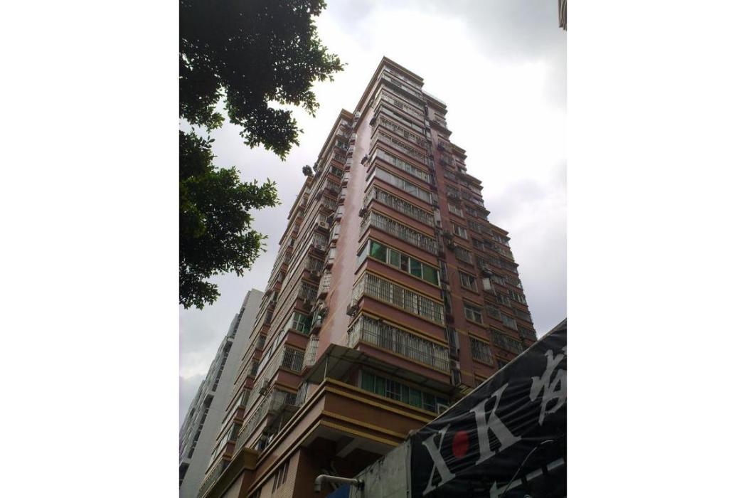 城管大樓 城管大樓