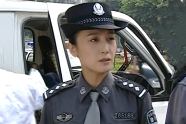 劉丹(懸疑劇《極限追捕》中的角色) 劉丹(懸疑劇《極限追捕》中的角色)