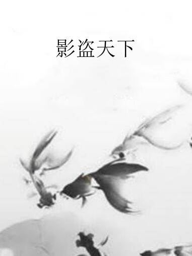 影盜天下 影盜天下