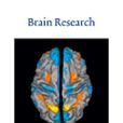 BRAIN RESEARCH BRAIN RESEARCH