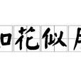 如花似月 如花似月
