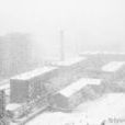 鵝毛大雪 鵝毛大雪