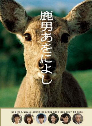 綾瀨遙(凌瀨遙) 綾瀨遙(凌瀨遙)