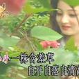 含羞草(台灣電視連續劇《含羞草》主題曲)