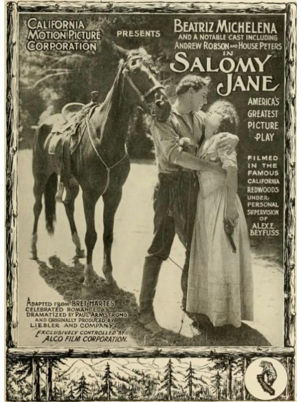 Salomy Jane(美國1914年Lucius Henderson等執導的電影)