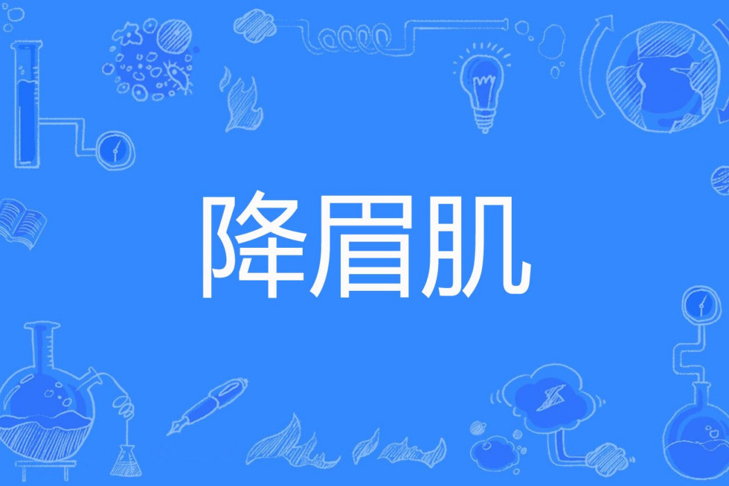 降眉肌 降眉肌