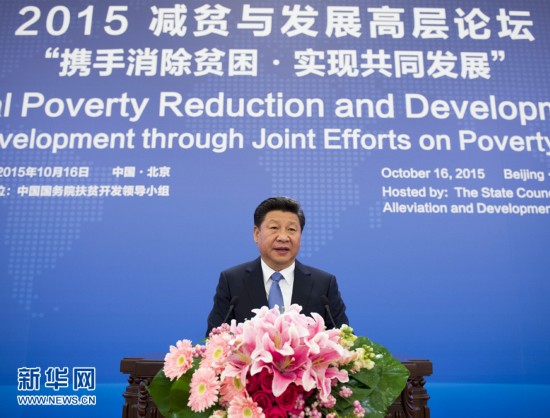 2015減貧與發展高層論壇