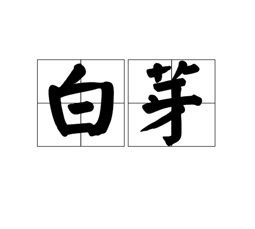 白芽 白芽
