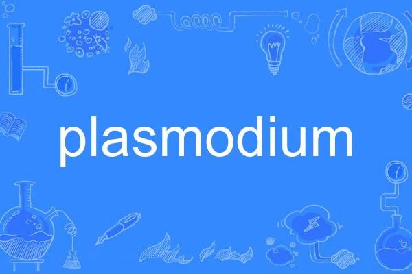 plasmodium plasmodium