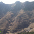 青銅山(地名) 青銅山(地名)