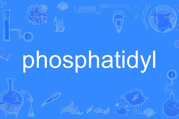 phosphatidyl phosphatidyl
